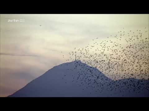 Die Königsetappe der Tour de France Teil 1 - Puy de Dôme