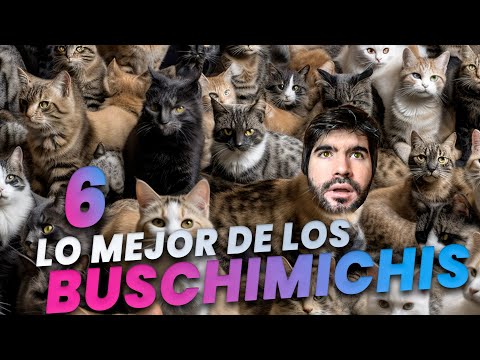 LO MEJOR DE LOS BRUSCHIMICHIS 6 - PABLO BRUSCHI
