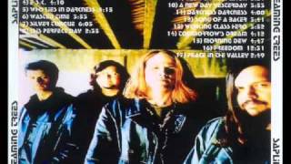 Screaming Trees-Tales of Brave Ulysses