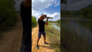 Download lagu #photography #wildlifephotography #srilanka mp3 Download lagu #photography #wildlifephotography #srilanka mp3