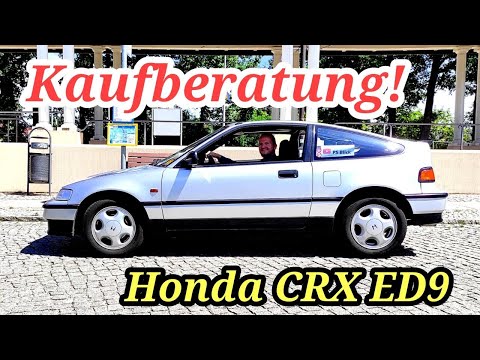 Honda CRX - Kaufberatung | Du wirst es nicht bereuen! | Youngtimer & Oldtimer 2023