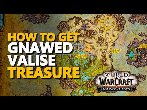 Gnawed Valise WoW Treasure