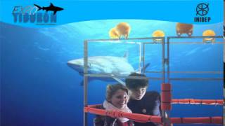 DIA 2 Expo Tiburon41