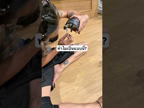 ทำไมเป็นแบบนี้ ?￼ #tanghomyt