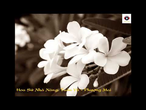 Thể hiện bởi Phượng Mai