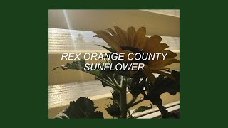 SUNFLOWER // REX ORANGE COUNTY (LYRICS)