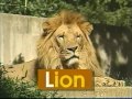 Learning Alphabets For Kids From Zoo Alphabet Learning Games