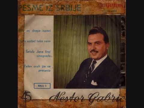 Nestor Gabric -  Kafu mi draga ispeci