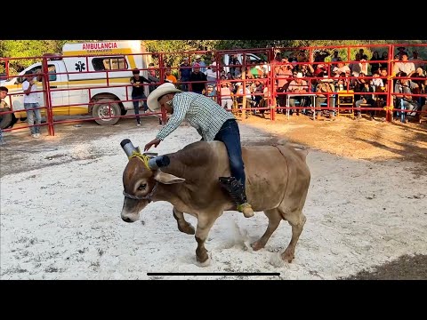 Jaripeo de rancho en Dolores Hidalgo San Andres Cabecera Nueva Oaxaca fiesta patronal 2024