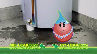 Steve's Plumbing - No Problem
