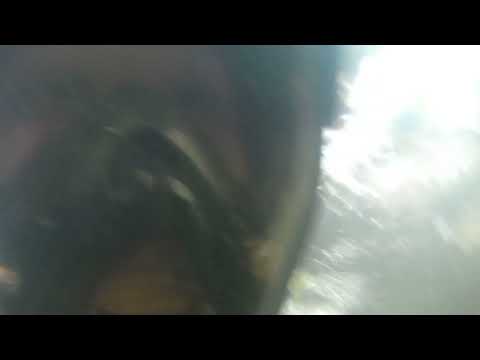 Tor H med SANYO xacti VIDEOKAMERA - 3 - Skörjesjön - Backaryd - 2024-08-11 - RONNEBY - SANY0064