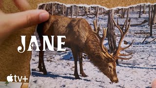 Jane — 11 Fun Facts About Caribou | Apple TV+