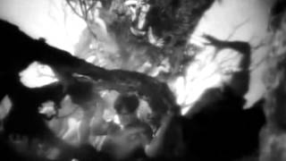 Silent Love of Death - Soñando la Muerte