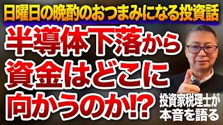日曜日の晩酌のおつまみになる投資妄想動画！半導体下落から資金はどこに向かうのか！？投資家税理士が本音を語る