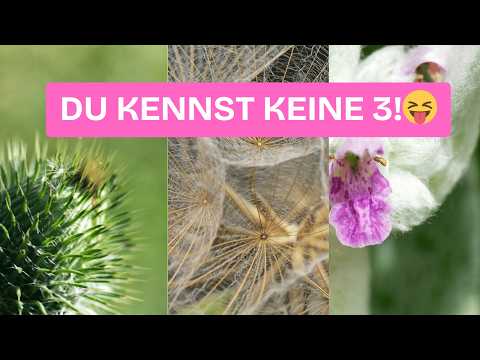 Test your plant knowledge with these tricky pictures!