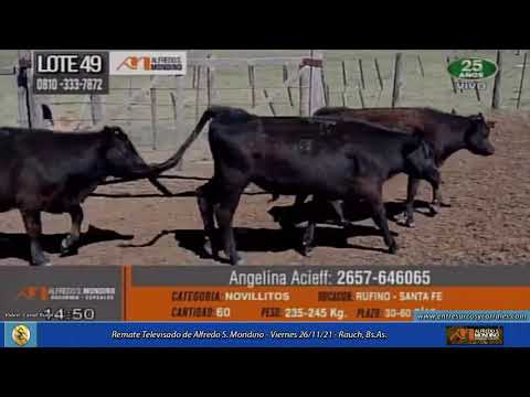 26-11-21 - Remate Televisado de Alfredo S. Mondino . Rauch, Bs.As.
