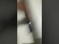 Backyardigans Dvd FAIL 6