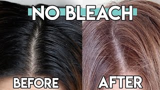 DIY At Home HAIR DYE, I Used a BOX DYE to go from DARK To LIGHT , NO BLEACH METHOD