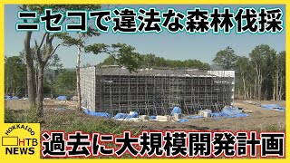 ニセコエリアで違法な森林伐採　過去に住宅やスキー場建設計画　消失面積を計測してみると…　北海道