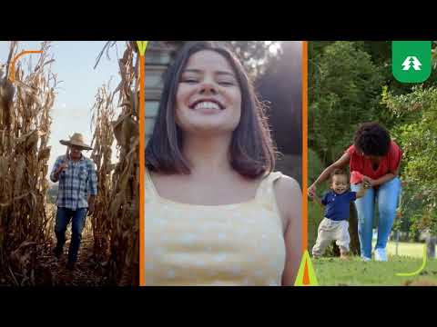 Campanha Institucional Estadual