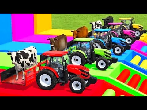 TRANSPORTING by COWS With COLORED ISEKI TRACTORS & MAN TRUCKS! Farming Simulator22