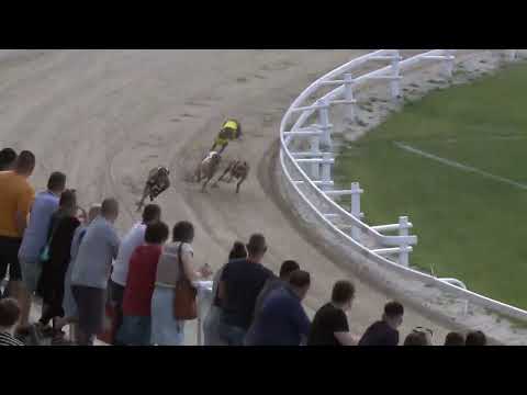 2022.06.03. 04. futam - Júniusi Trófea