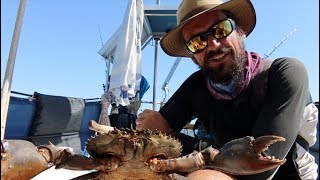 Mud Crab Hunting - Free Range Sailing Episode 20