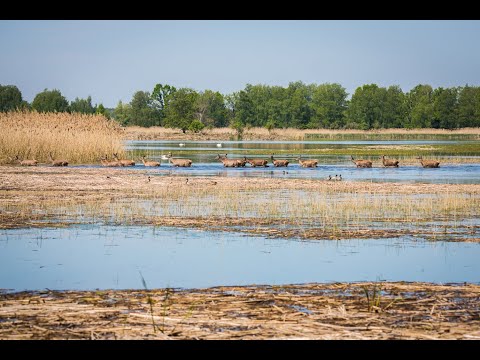 DOLINA BARYCZY - Pewnego razu w maju 2020