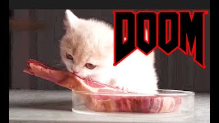 Cover art for Kitten Eating a Steak