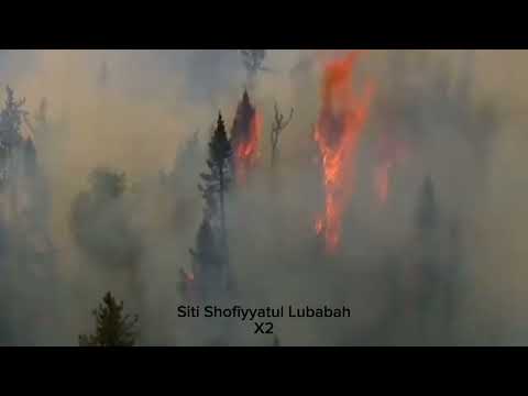 PENCEMARAN LINGKUNGAN (Air,Udara,Tanah)By:Siti shofiyyatul lubabah X2 (Sendiri)