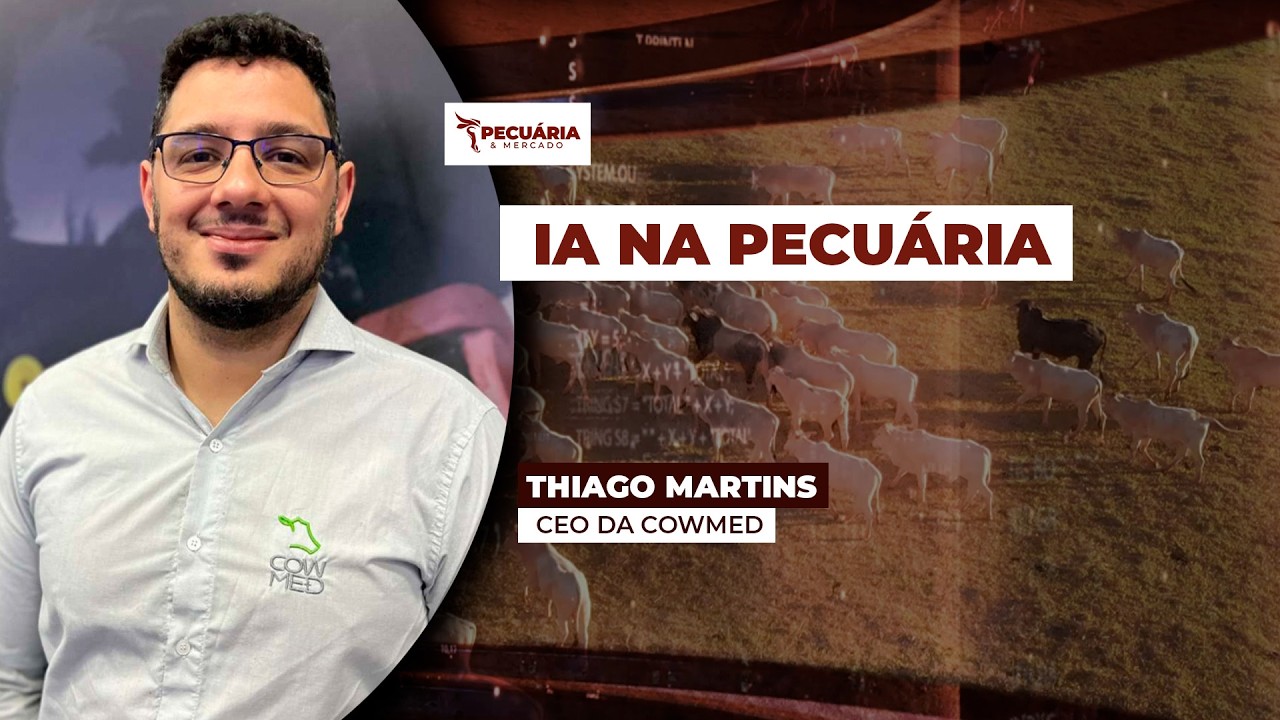 As dicas para os pecuaristas que querem melhorar os resultados da produção com uso da  IA