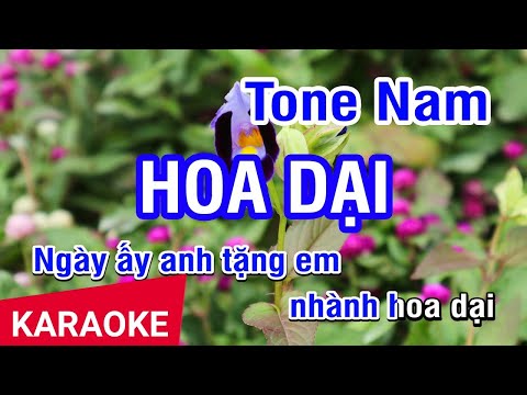 KARAOKE Hoa Dại Tone Nam | Nhan KTV