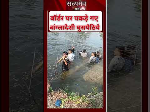 बॉर्डर पर BSF ने पकड़े बांग्लादेशी  घुसपैठिये #bangladesh #westbengal #bsf #bjp #shubhenduadhikari