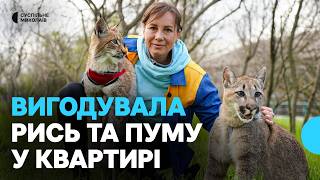Співробітниця миколаївського зоопарку вигодувала вдома рись та пуму (фото, відео)