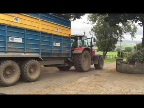 Killen Bros Second Cut