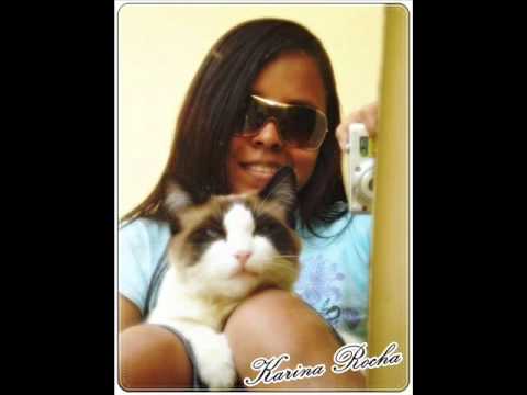 HOMENAGEM  Karina Rocha.wmv