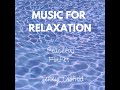 60 Minutes ... MUSIC FOR RELAXATION ... Terry Oldfield ... Full Album