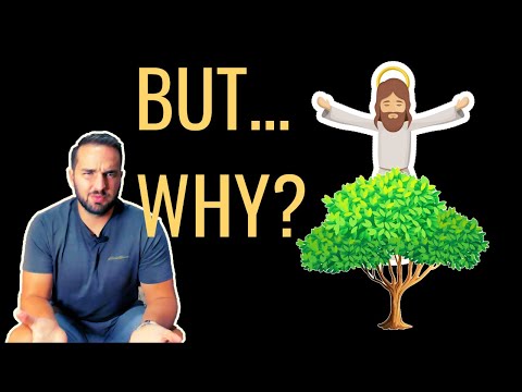 Why Did Jesus Curse the Fig Tree? || Mark 11:12-14; 20-25 || 2BeLikeChrist