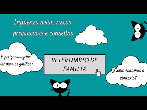 Vídeo: Gripe aviaria
