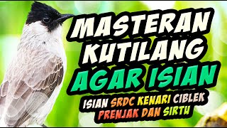 Download lagu Masteran kutilang agar isian dan pemandangan ilalang bokeh. materi SRDC Ciblek Prenjak kenari sirtu mp3