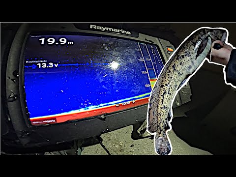 NÄLKÄISIÄ MATEITA SYVISTÄ VESISTÄ MADEMORRILLA!