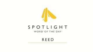 Download lagu Reed | Spotlight Word of the Day mp3 Download lagu Reed | Spotlight Word of the Day mp3