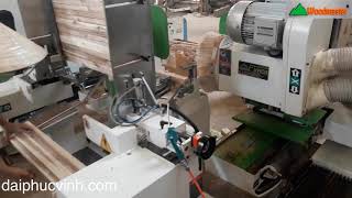 Woodmaster. MÁY ĐÁNH MỘNG 2 ĐẦU CNC - MÁY LÀM MỘNG CNC 2 đầu siêu tốc