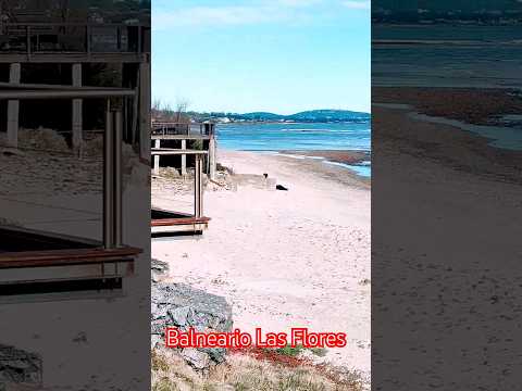 Balneario Las Flores - Maldonado