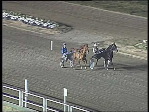 Trotto 10/02/2017 - prova di qualifica