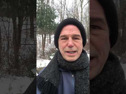 Homestead & Permaculture Water: Natural Springs Explored