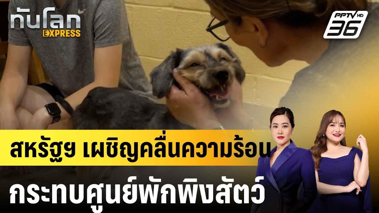 ชุมชนสหรัฐฯ แห่ช่วยศูนย์พักพิงสัตว์ รับมือคลื่นค