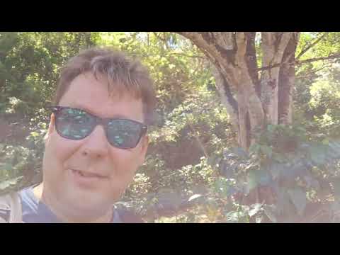 Suomen päättäjät: "niin metsä vastaa kuin sille huudetaan". Miksi peitätte yhä omaa korruptiotanne?