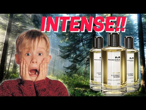 NEW MENS FRAGRANCE MANCERA INTENSE CEDRAT BOISE FIRST IMPRESSIONS!
