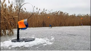 Ловля щук на жерлицы осенью